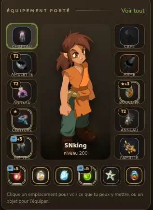 Équipement porté par le Féca SNking niveau 200